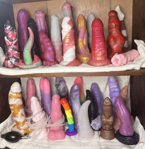 Thumbnail Dong Shelf Secrets Revealed by oenthevampyre | BadDragon