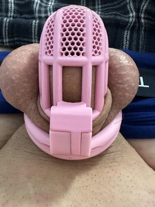 Thumbnail throaway85855838282's Prim and Proper: The Allure of a Pink Sissy Cage | SissyChastity