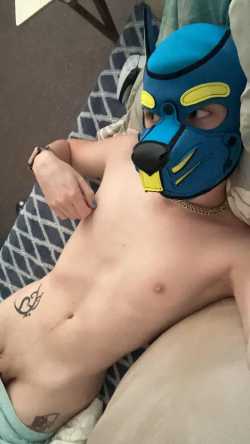 Thumbnail Just a Tired Pup Playing Games by PupOri0n in gaymersgonewild