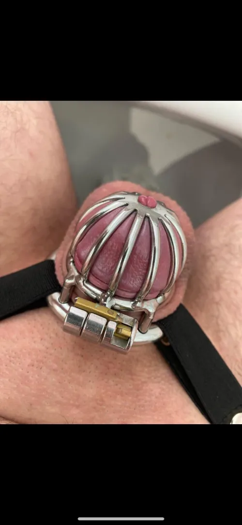 Thumbnail Reflecting on Locktober: A Submissive's Journey in SissyChastity