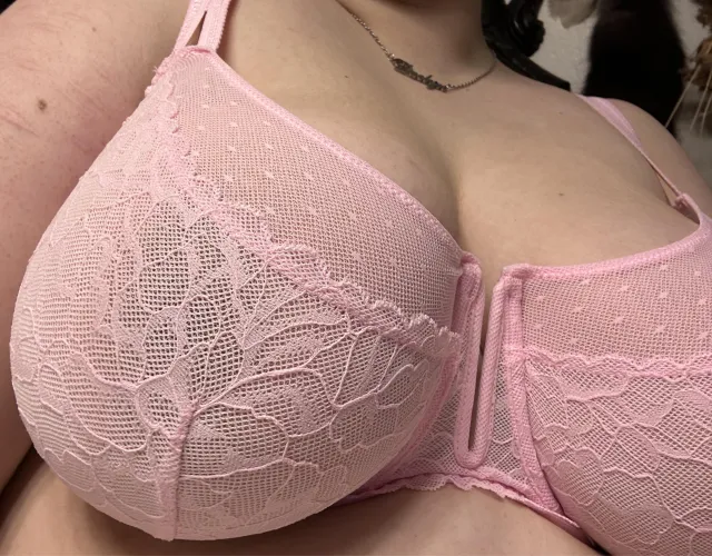 Thumbnail Slum-Lord-123 Embracing Pink Beauty in BBW Category