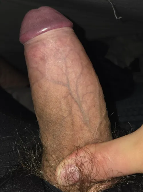 Thumbnail Promises of Uncut Delights in Foreskin World | TopicOld4529