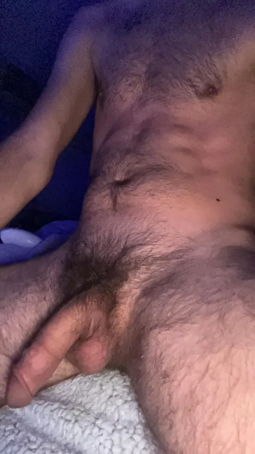 Thumbnail Like My Hairy Cock, Don't You Bro by GlobalMeringue679 in broslikeus