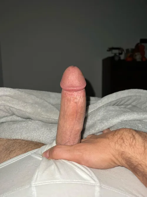 Thumbnail Cocks_lover: How Do You Rate a Middle Eastern Penis? Share Your Thoughts in ratemycock