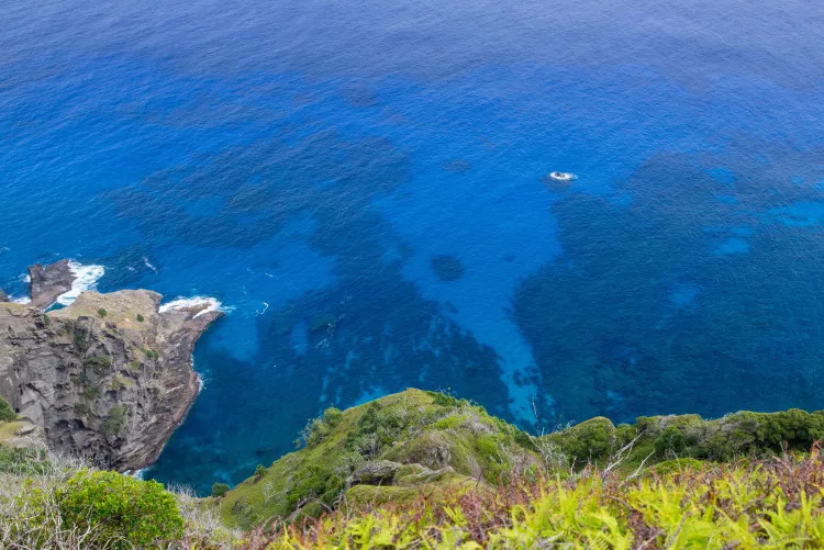 Thumbnail Explore the Stunning Pitcairn Island Cliffs by colapepsikinnie