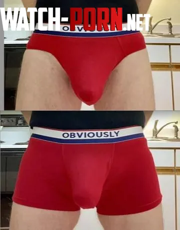 Red Briefs Red Trunks  by shyishguyish