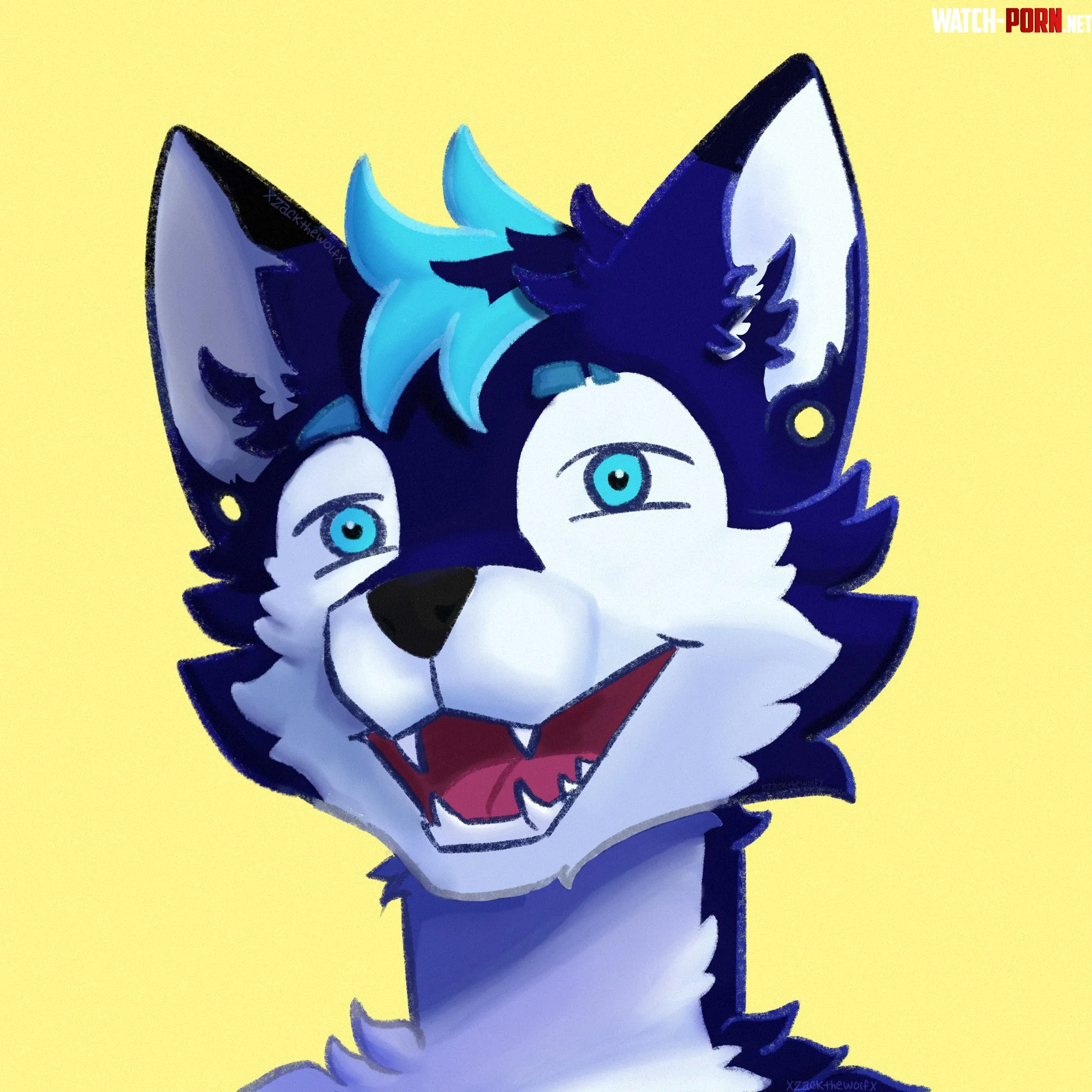 Zack my fursona art by me by xzackthewolfx