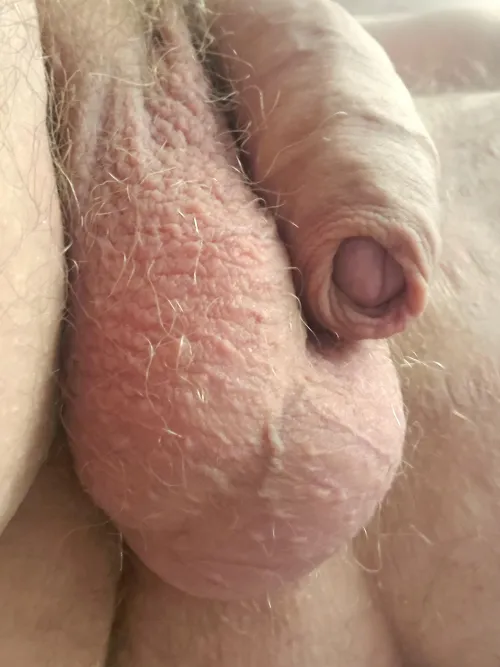 Thumbnail Resting Comfortably: Arkoud's foreskin Musings