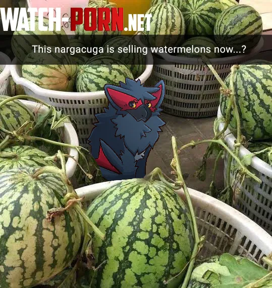 What the hell Cuga selling watermelons by Used_Dimension1555