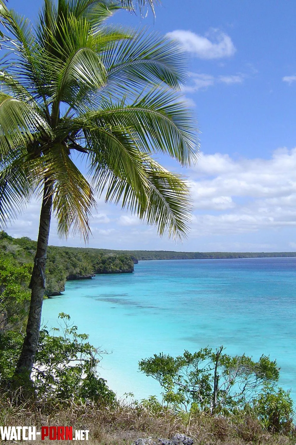 Lifou Loyalty Islands New Caledonia by Professional_Unit533