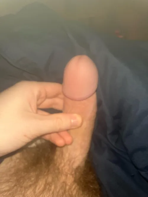 Thumbnail Seeking Oral Pleasure at 21 | Exhib23451 on Penis Delight