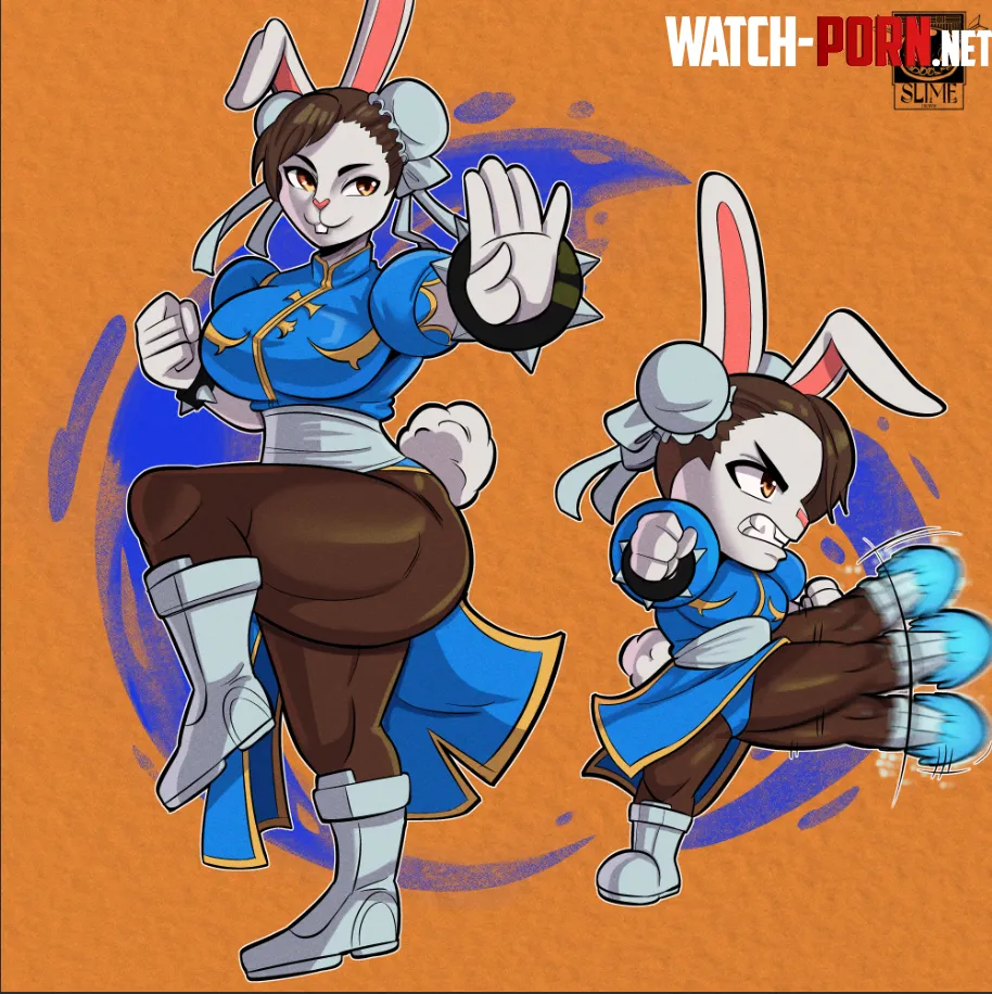  What if ChunLi from Street Fighter was a gorgeous furry bunny  Art by me by rodolfoslime