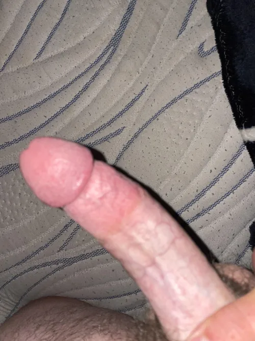 Thumbnail Rate This Young Cock: Do I Let It Bust by Adventurous-Pair4550