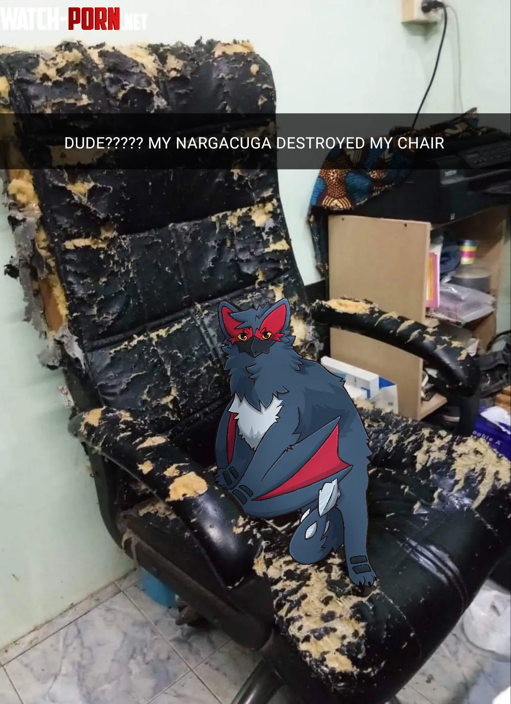 Dumb nargacuga destroyed my damned chair by Used_Dimension1555