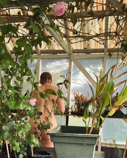 Thumbnail Greenhouse Escapades: Nude Delights Unveiled | Fernfairygoeswild