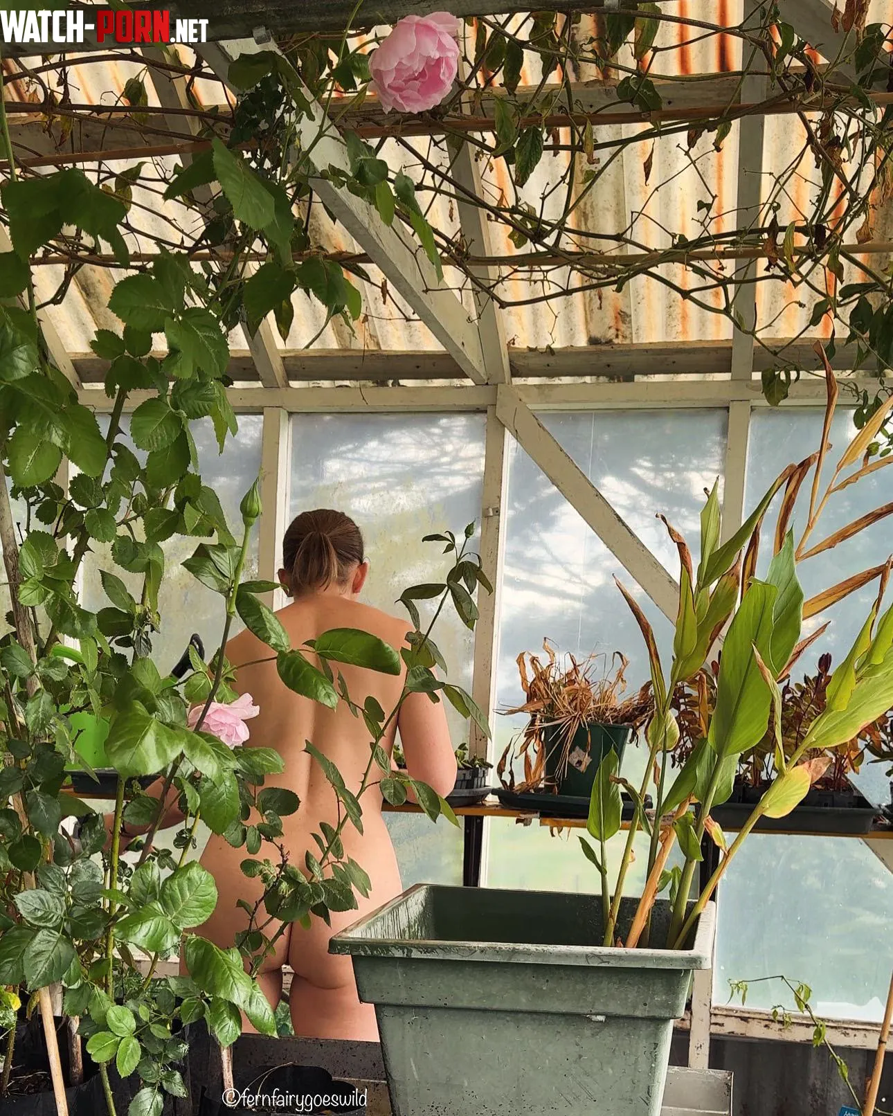 Naked in the greenhouse  by Fernfairygoeswild