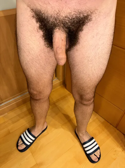 Thumbnail andy990aaa90's Soft Revelation Post-Shower in Foreskin