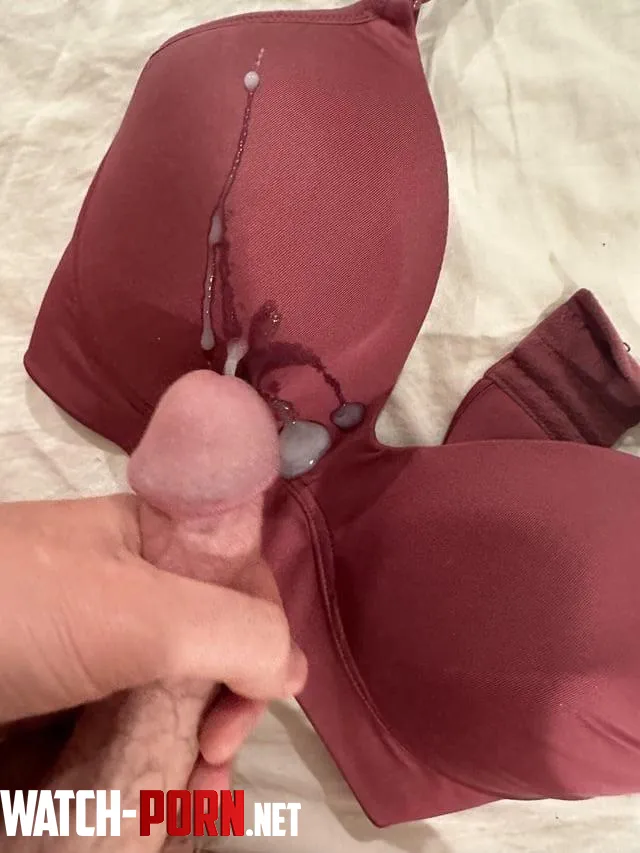 Unloading on my friends bra What do you think Want to see the owner  by [deleted]