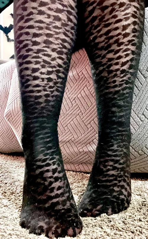 Thumbnail Spotted Pantyhose: A Rawr Fashion Statement by MrsMillerz