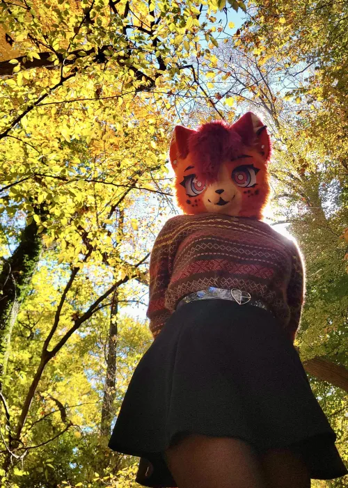 Thumbnail topfrop Invites You for a Walk in the Woods in Furry World