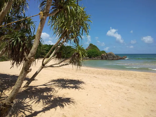 Thumbnail Tranquility Beckons: Balapitiya Beach, Sri Lanka by ms96wicky