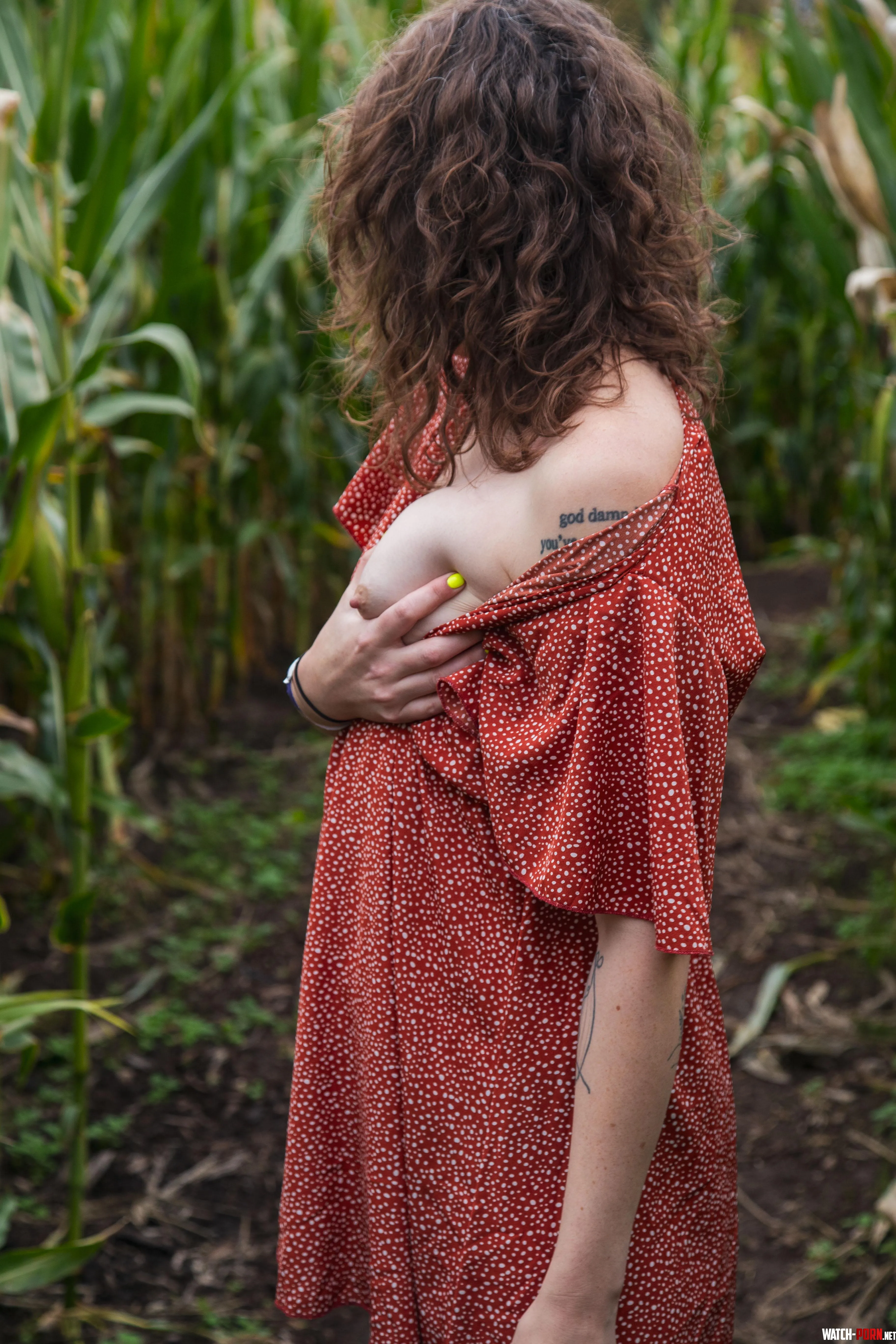 Does this pic make you want to go on a pumpkin patchcorn maze date with me  by penny-for-luck