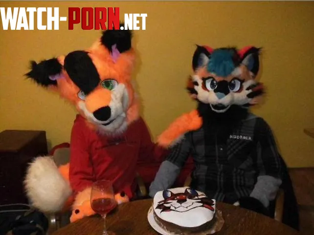 My furry friend had a birthday and he never had an actual birthday party before so we planned a very wholesome meet by Vector_Vlk