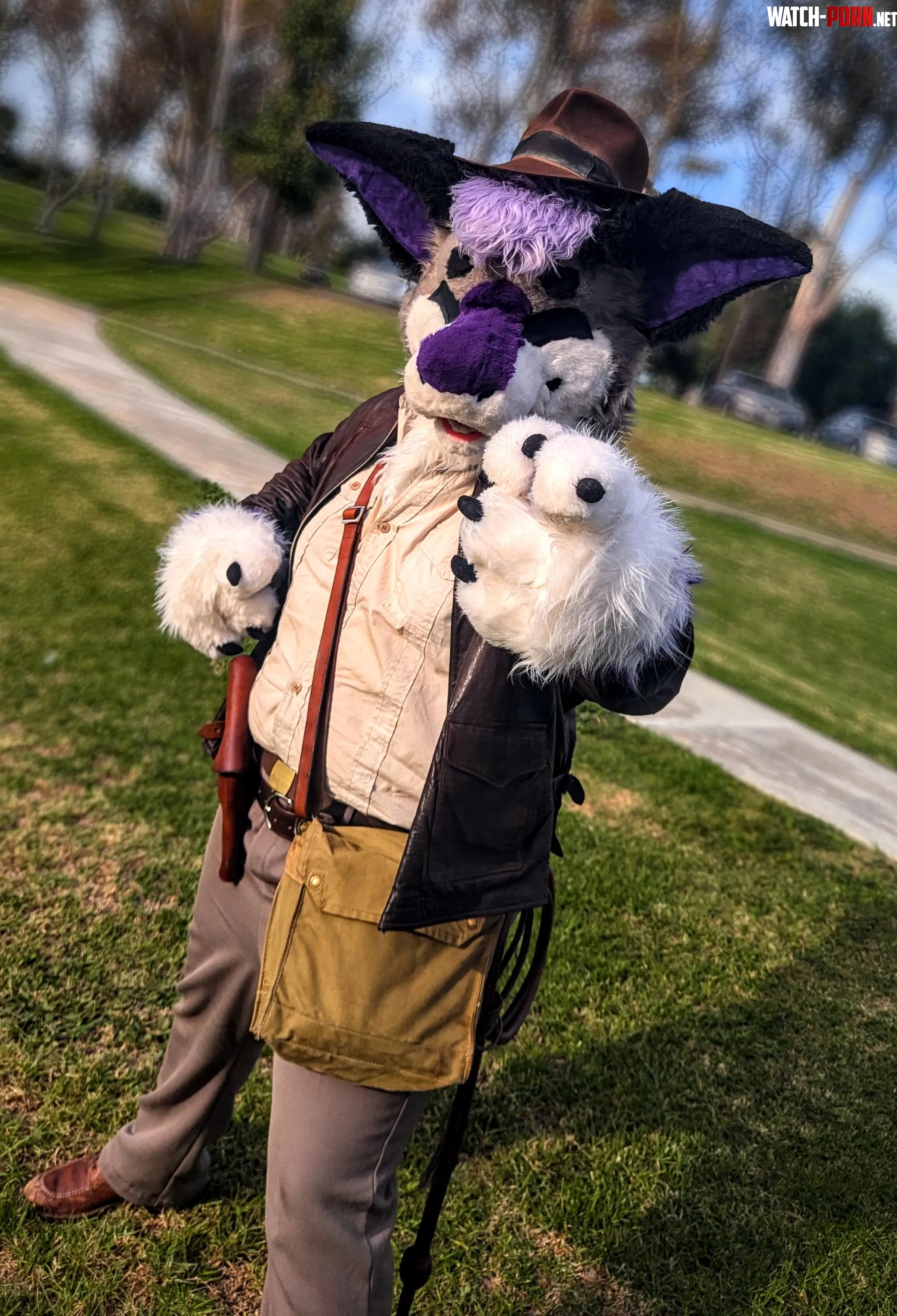 Indiana Jones got bit by his dog this Halloween by ConnorGuice