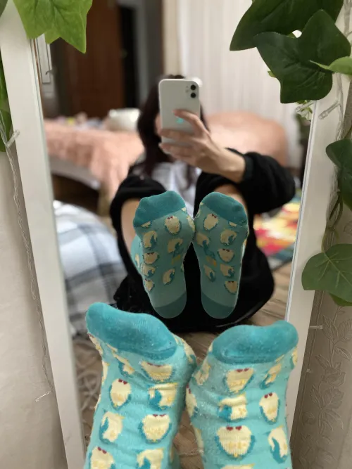 Thumbnail SocksGoneWild: Cute Penguins on Socks - Mistress_Wills