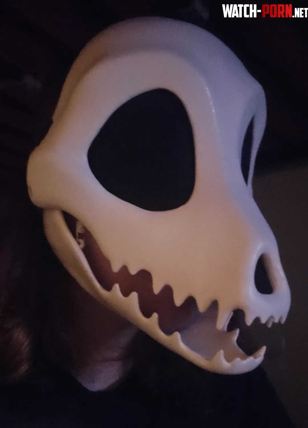 Finished the first part of cinder my skully by ZachoClaw