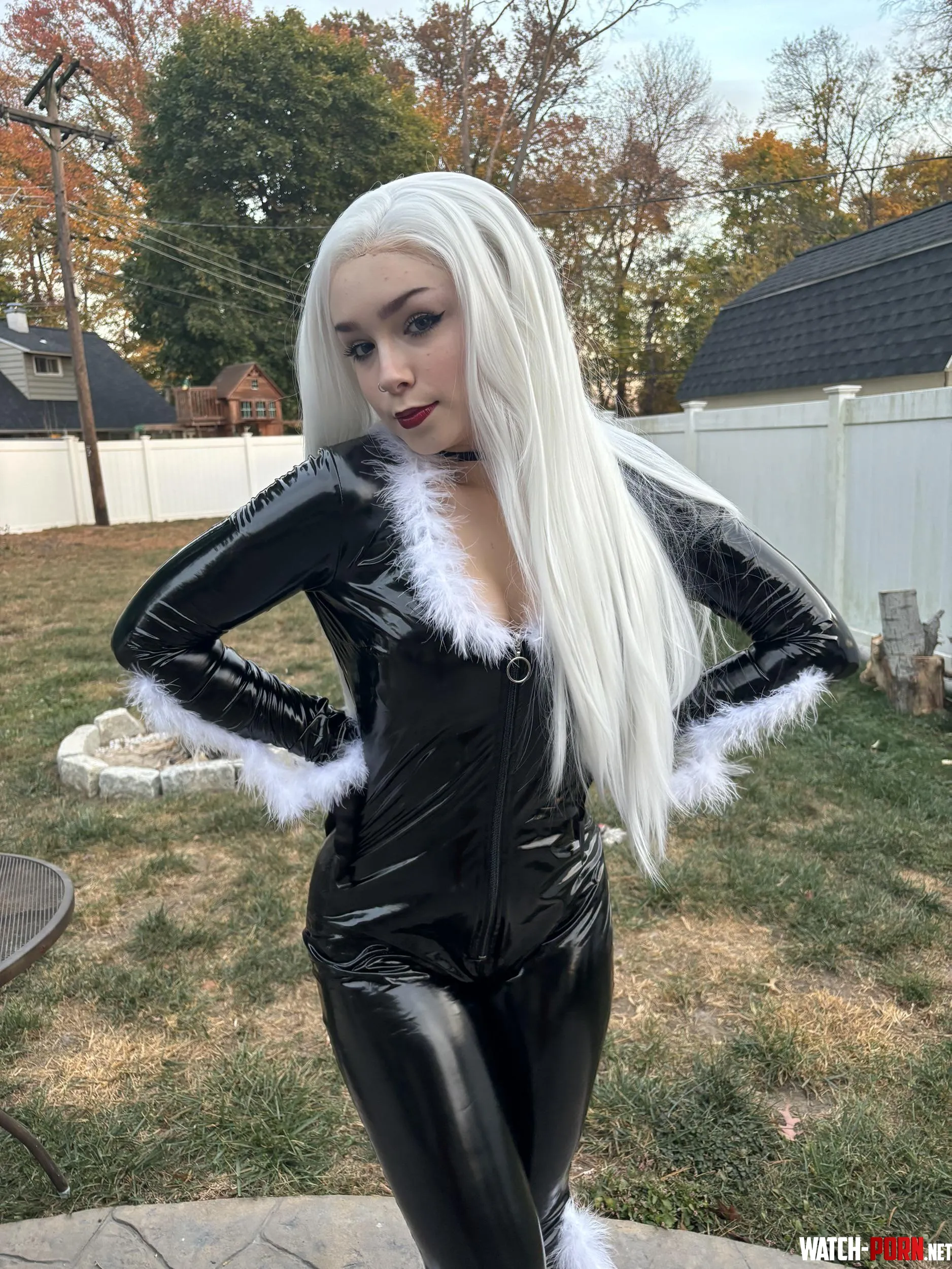 Black Cat by Madison by MaddieBaby56