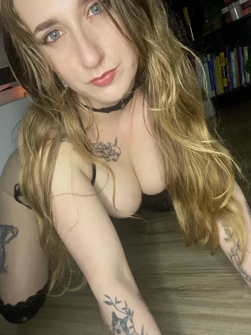 Thumbnail Dive into Tatted Up Girls by lasciviouslace on onlyfansgirls101