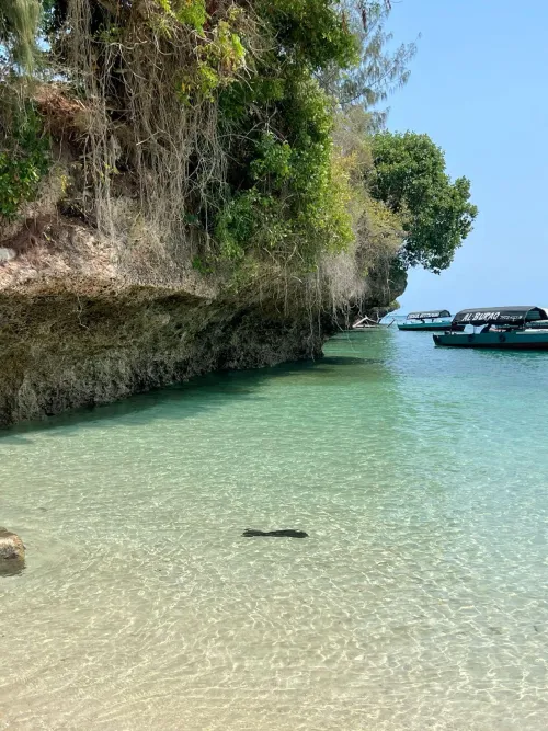 Thumbnail Zanzibar Beach Bliss: Puzzleheaded_Egg's Discovery | Puzzleheaded_Egg4219 | beach