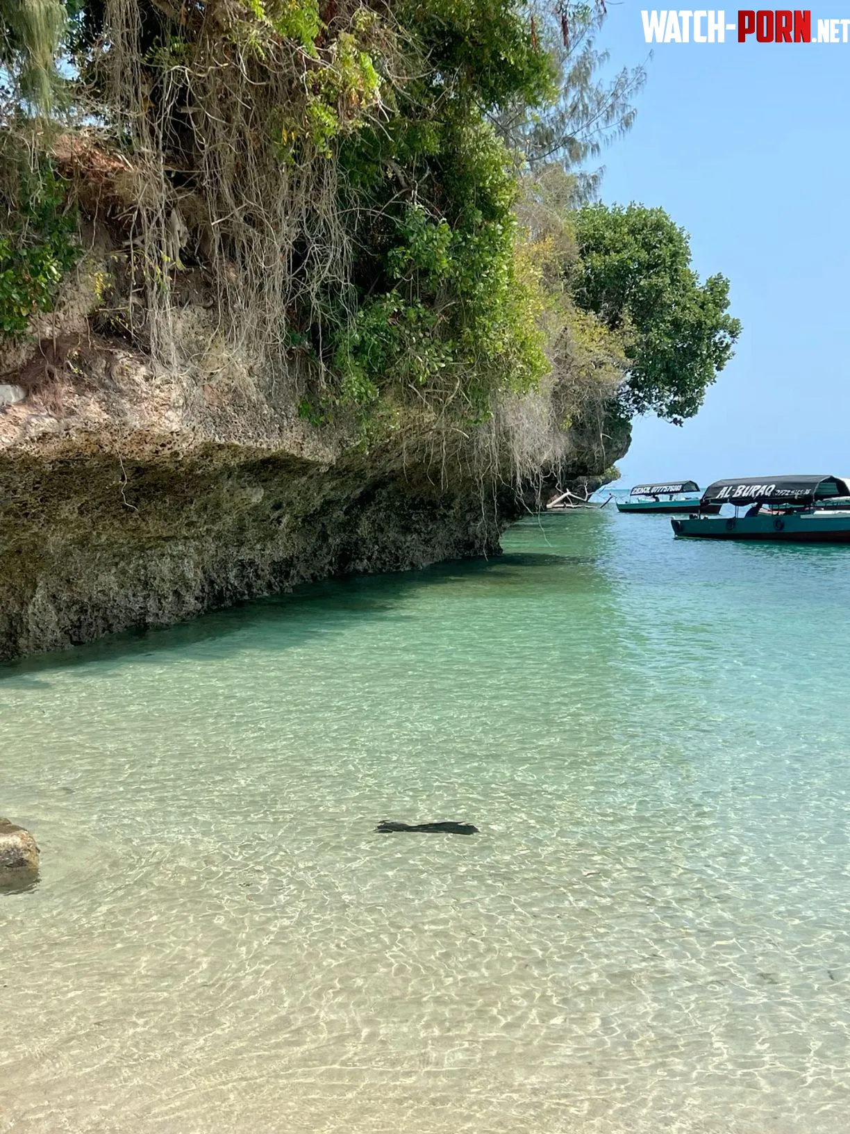 Zanzibar beach in Tanzania by Puzzleheaded_Egg4219