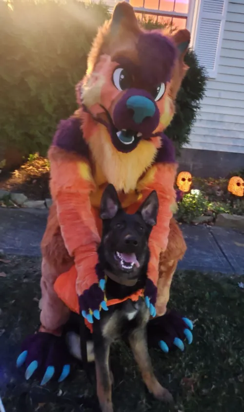 Thumbnail Jdhdp's Furry Halloween: Welcoming Trick or Treaters with a Doggie Guest