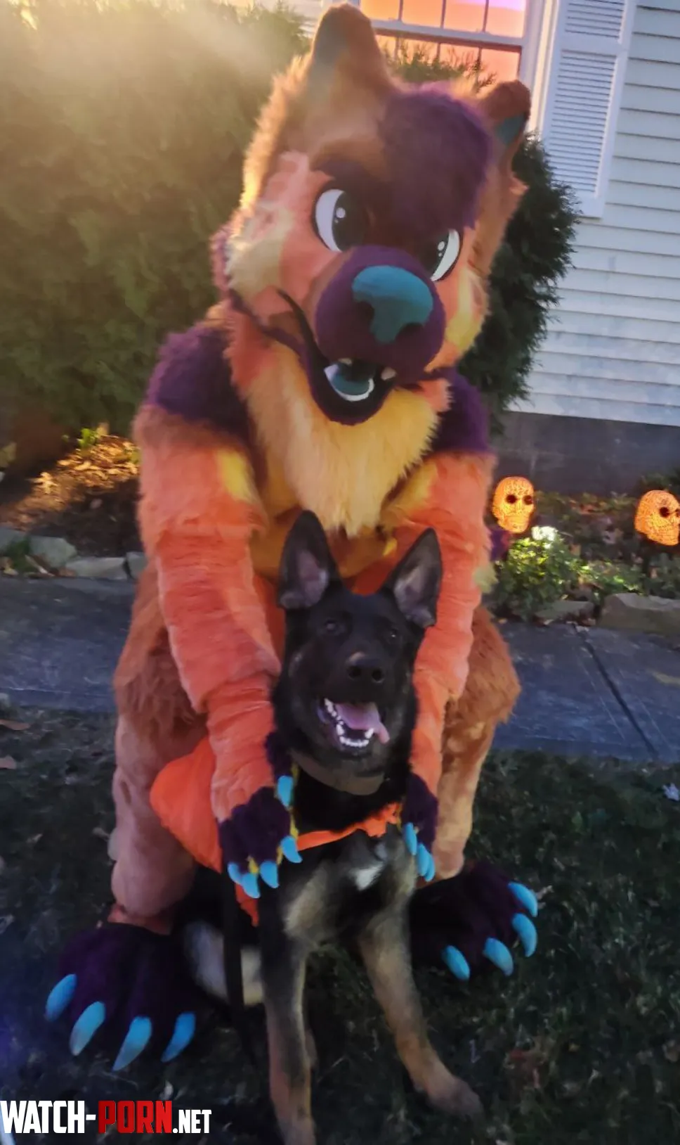 My dog and I waiting for trick or treaters  by jdhdp