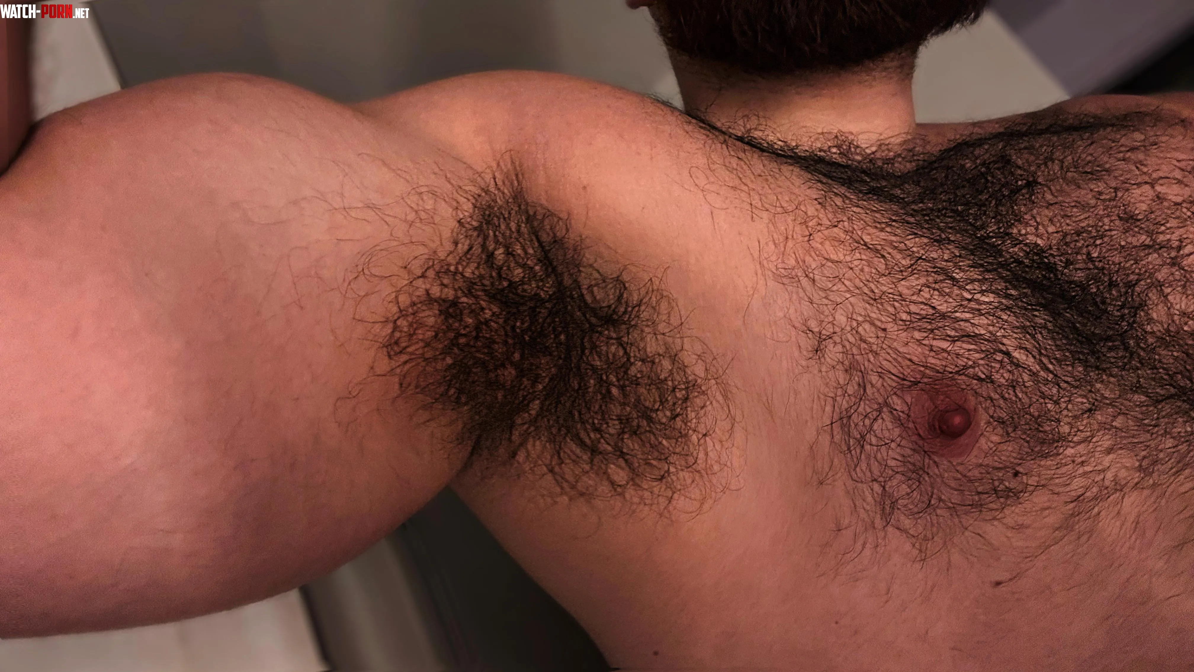 Hairy pit and bicep  by armpitwoll