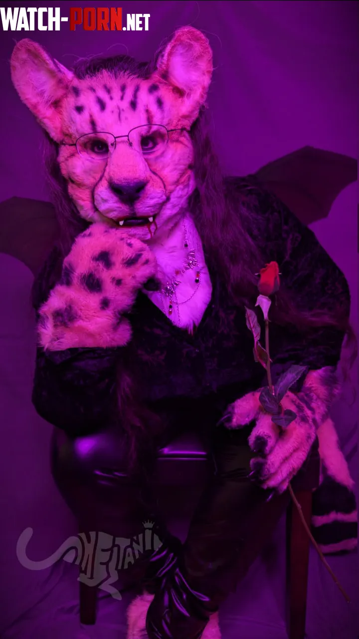 Will you survive your encounter with the vampire queen or stay with her for eternity   FursuitFriday by acinonyxjubatusrex