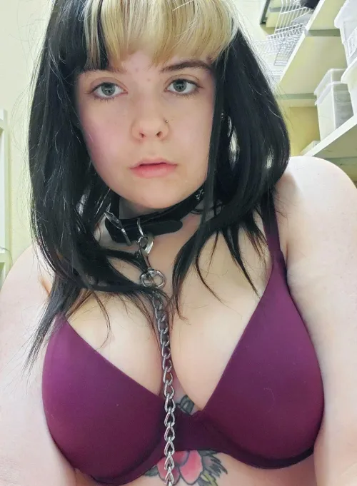 Thumbnail Adorable and Collared - A BigTiddyGothGF Experience