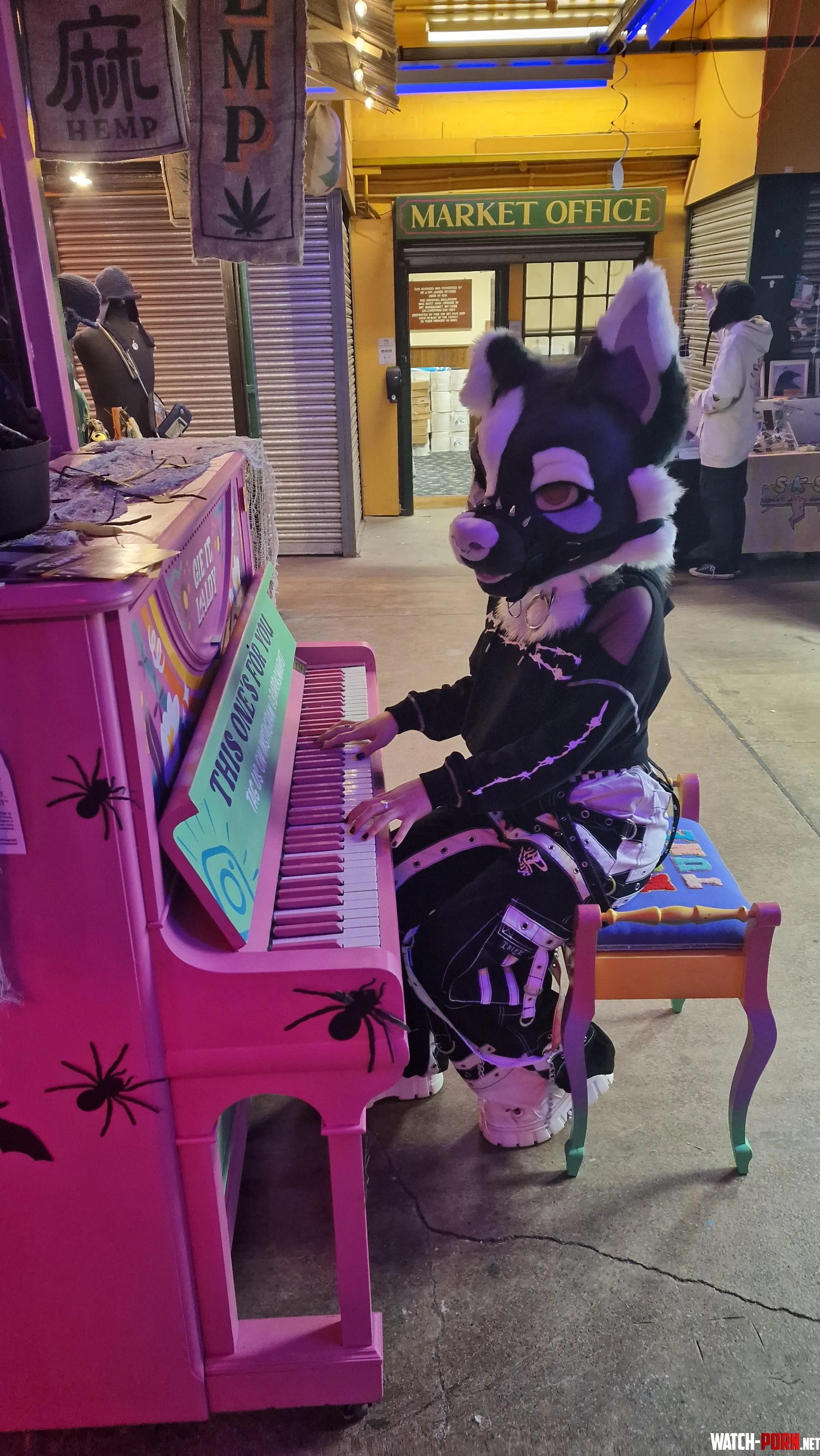 Who let the dog touch the piano It cant even play  by Baileystarpup