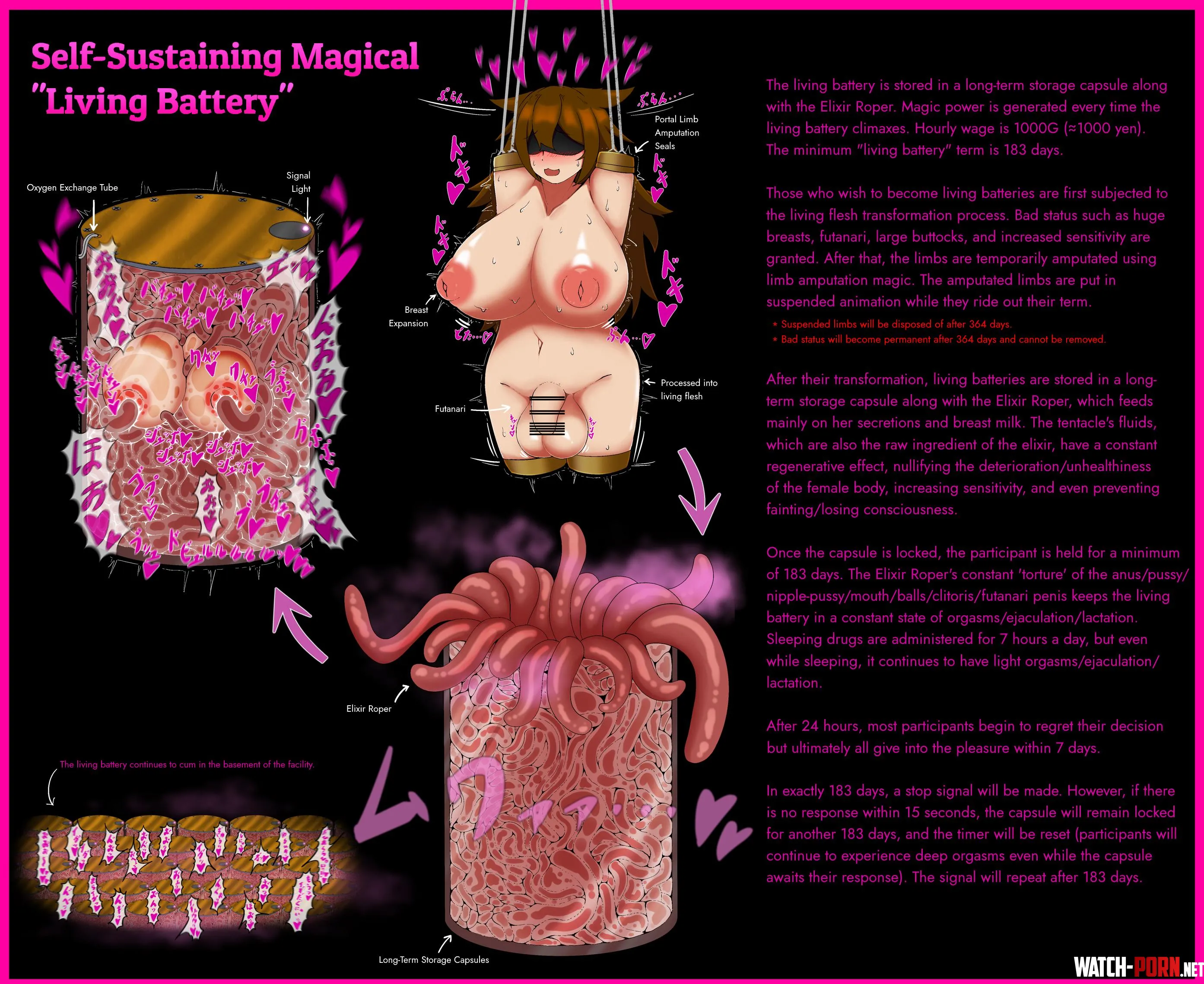 SelfSustaining Magical Living Battery imuiko by Flappabill