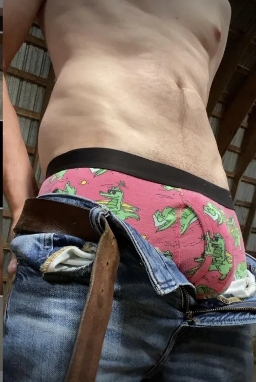 Thumbnail Setting the Scene: Hayloft Fantasies in GayPorn