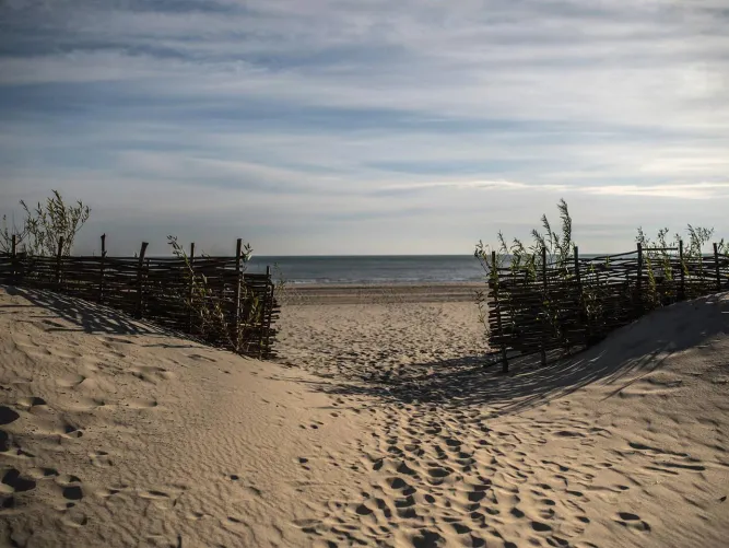 Thumbnail Discover the Beauty of a Wild Beach with _13sparrow