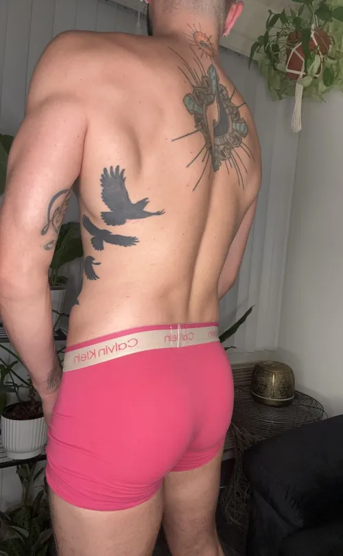 Thumbnail Underwear Indulgence: Exploring the Pink by notorious_dani_boy