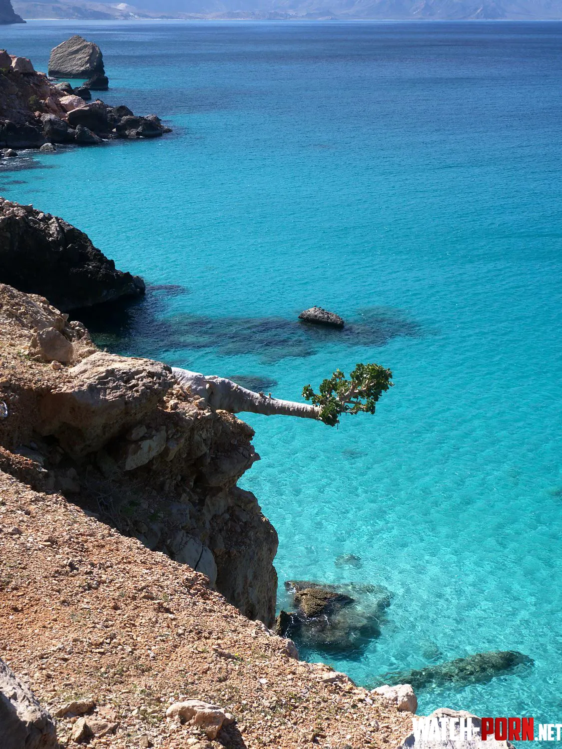 Socotra by colapepsikinnie