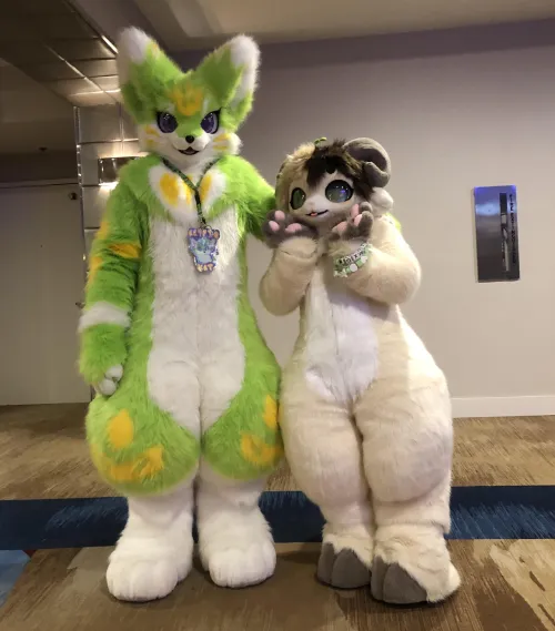 Thumbnail Double Kemono Cuteness at BLFC 2024: A furry Delight by venomousguava666