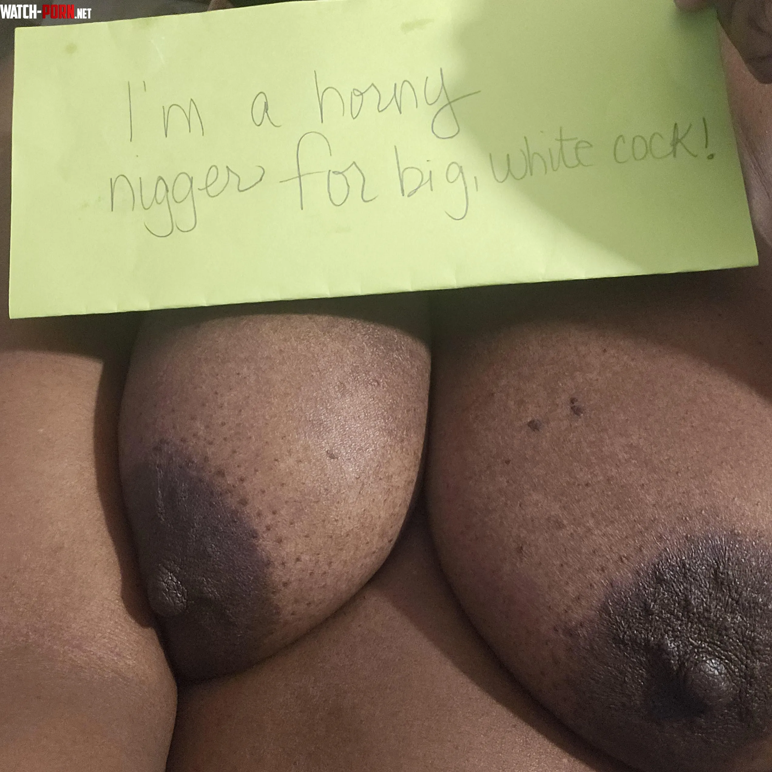 Nappy headed ngger horny for white meat by ChubbyHornyBitch