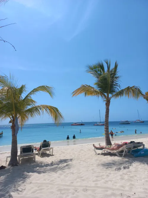 Thumbnail Palm Beach Aruba Escapades: Discovering Beauty with borntotravelling