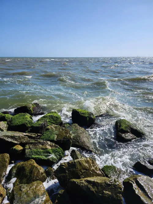 Thumbnail Exploring Dauphin Island, Alabama's Beach Beauty