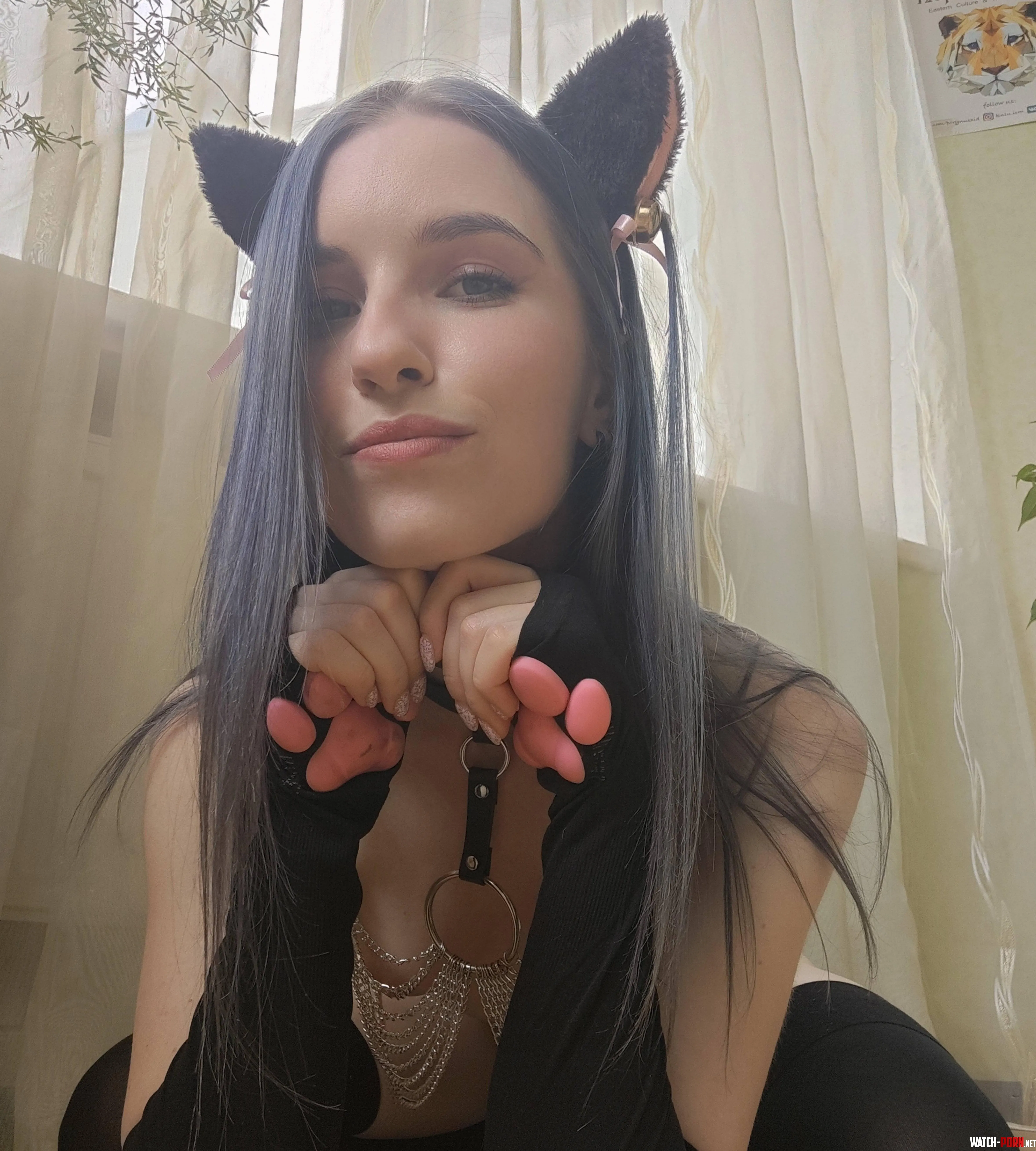 your sweet kitten will behave obediently by hailey_cute